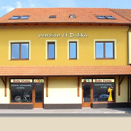 Penzion U Dulika Veseli nad Moravou Luaran gambar