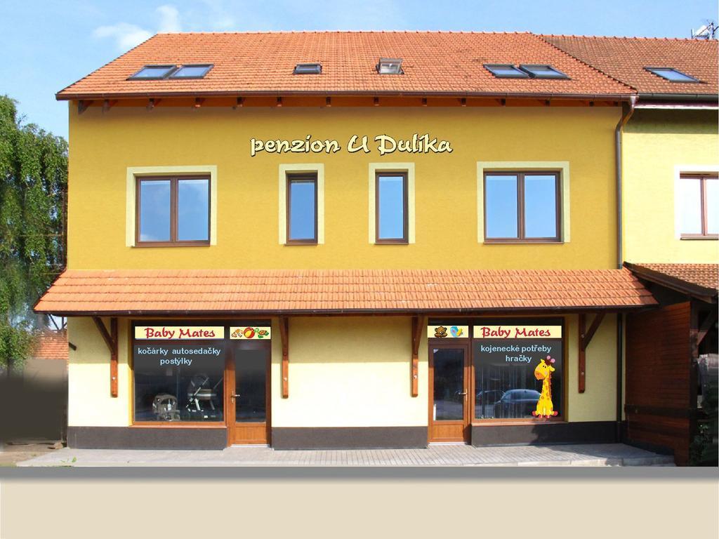 Penzion U Dulika Veseli nad Moravou Luaran gambar